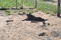 Afb_20170409w (12)